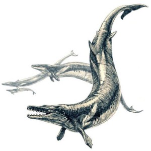 Basilosauro